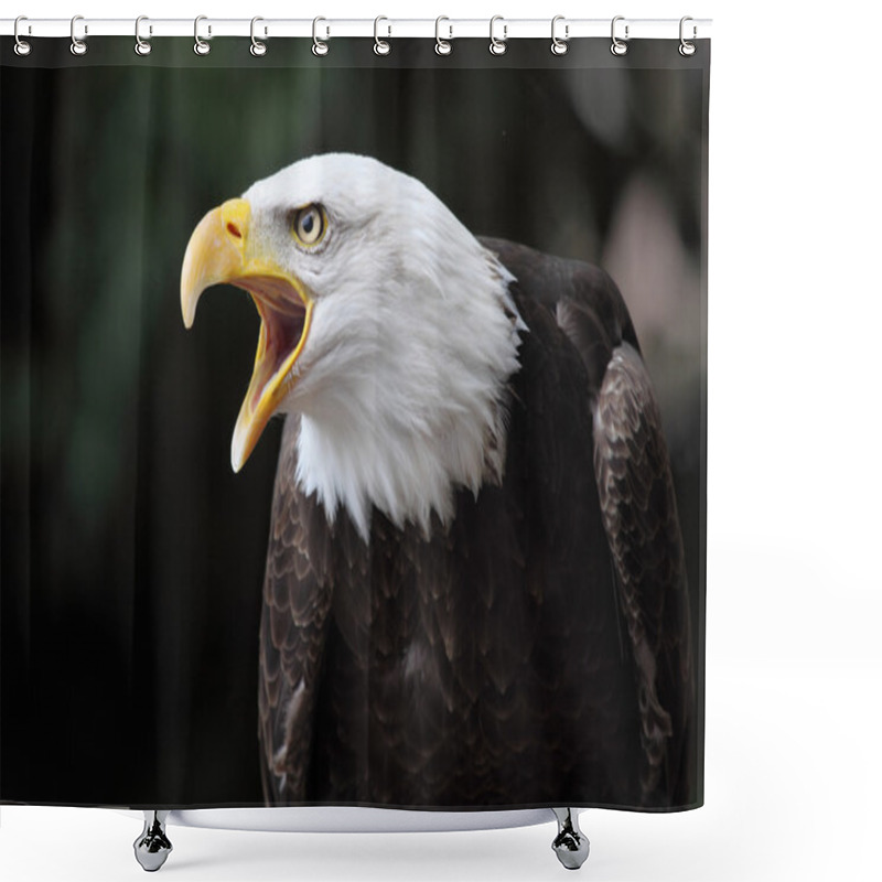 Personality  Bald Eagle Shower Curtains