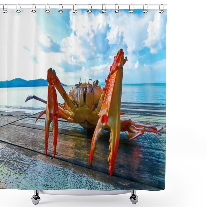 Personality  Close Up Of Sea Crab On The Table Near The Sea Shower Curtains