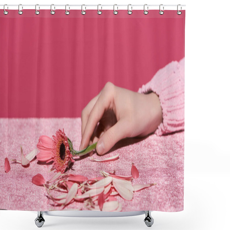 Personality  Cropped View Of Woman Holding Gerbera Near Petals On Velour Cloth Isolated On Pink, Girlish Concept  Shower Curtains