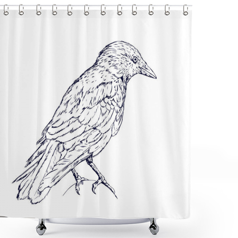 Personality  Crow Sketch Shower Curtains