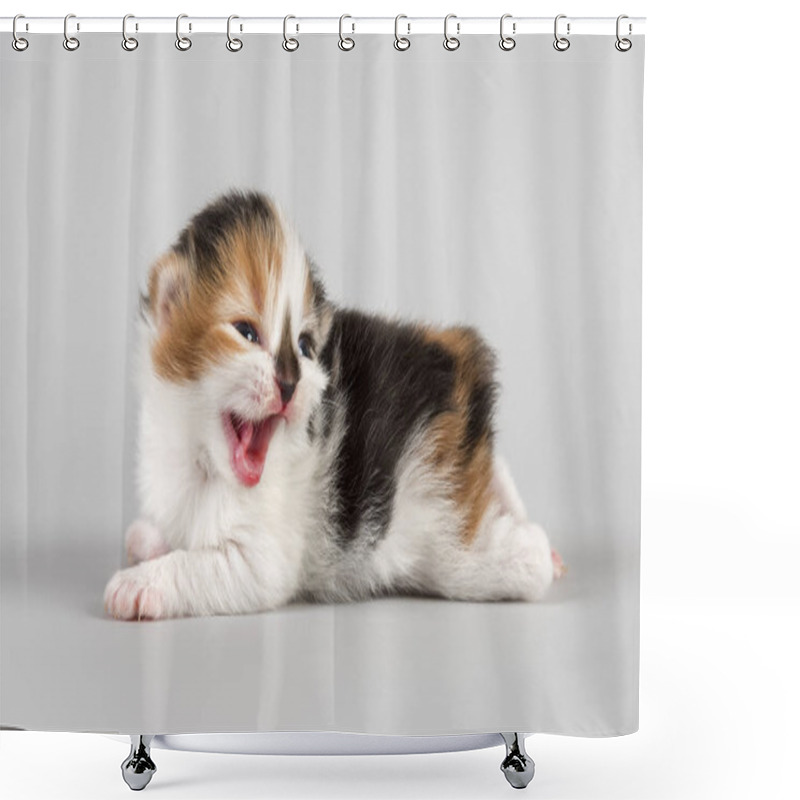 Personality  Young Animals, Selective Focus Shower Curtains