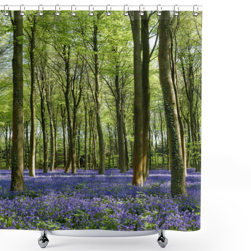 Personality  Bluebells In Wepham Woods Shower Curtains