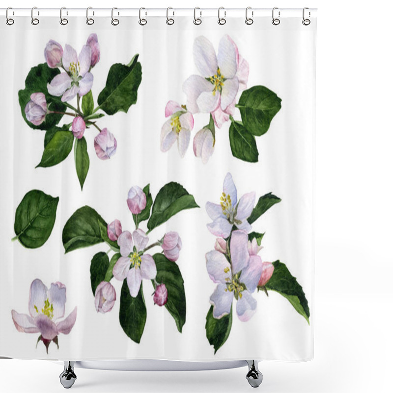 Personality  Set Of Apple Flowers And Buds With Green Leaves Hand Painted In Watercolor Isolated On The White Background Shower Curtains