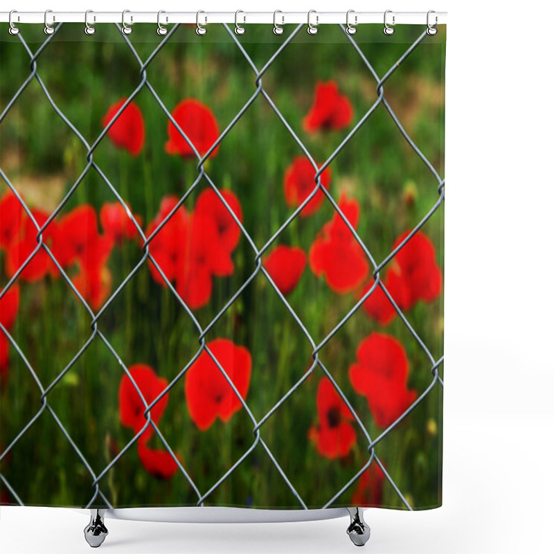 Personality  Field Of Red Opium Poppies Behind Metal Fence Net. Iron Grid Protects Field Of Opium Poppy. Beautiful Flowers Of Red Opium Poppies. Poppy Field Is Guarded Behind Grid Of Fence Shower Curtains