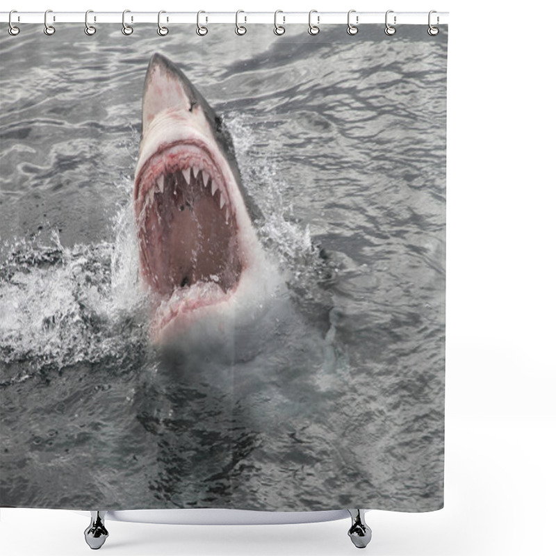 Personality  Attack Great White Shark Shower Curtains