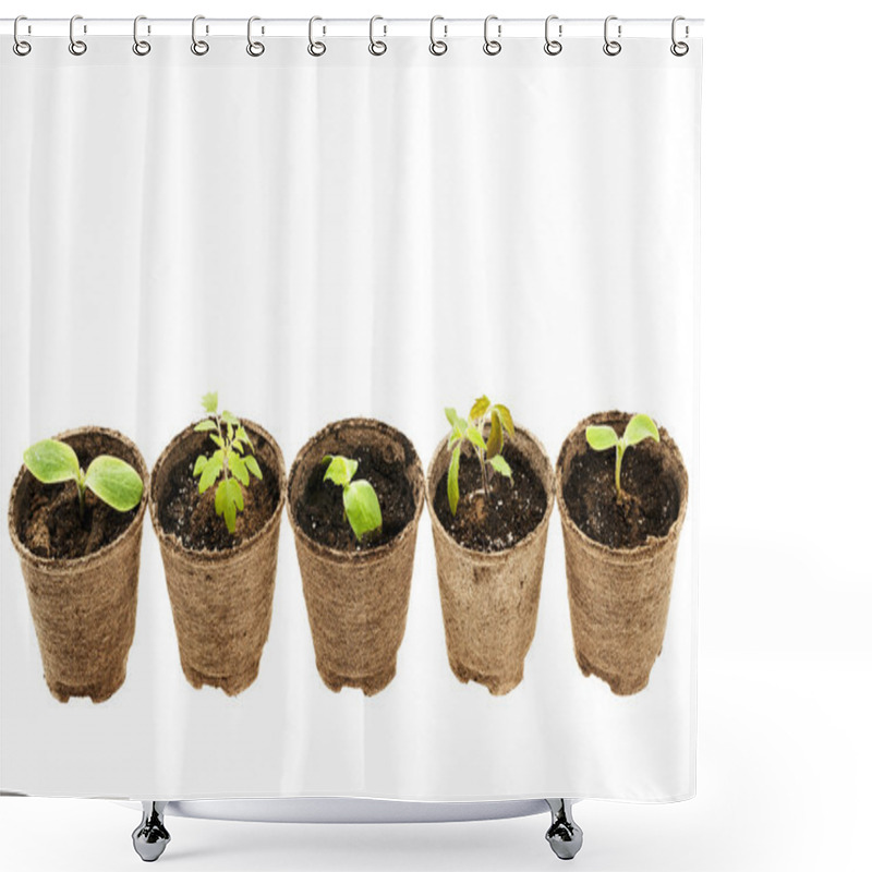 Personality  Seedlings Growing In Peat Moss Pots Shower Curtains