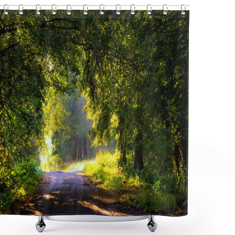 Personality  Beautiful Trees Alley Illuminated By Morning Light. Shower Curtains