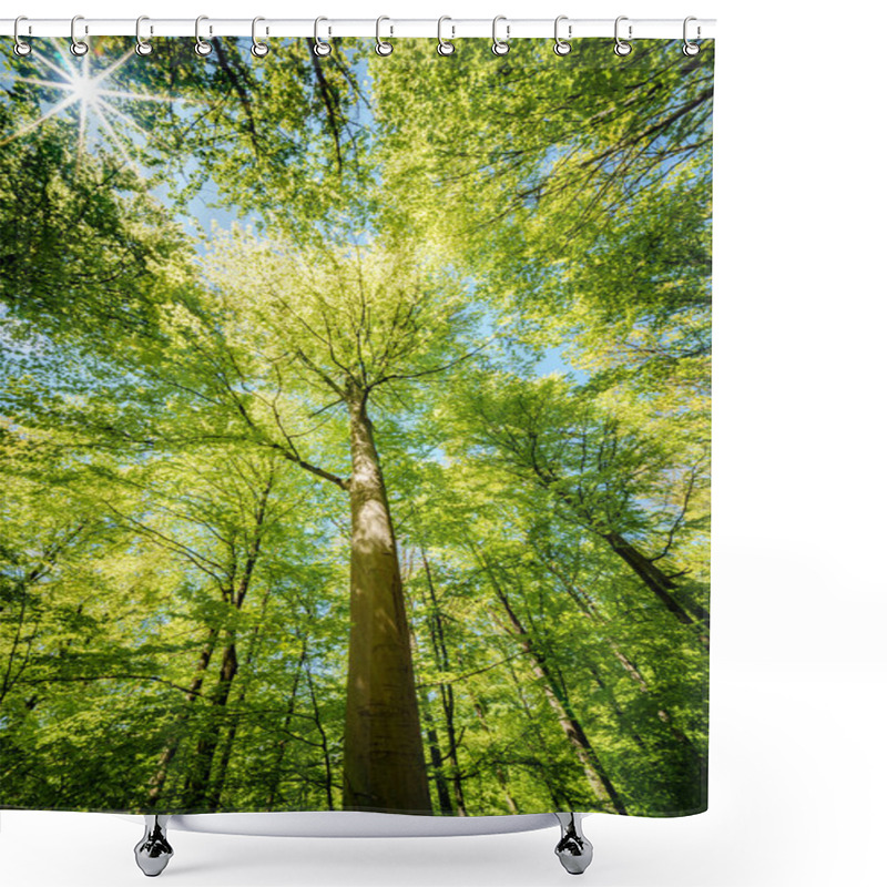 Personality  Observing The Sun Peeking Through The Trees In A Forest Is A Serene Experience, Surrounded By Terrestrial Plants And A Variety Of Shades Of Green And Brown In The Natural Landscape Shower Curtains