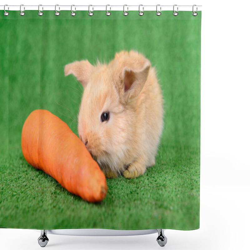 Personality  Rabbit With Carrot Shower Curtains