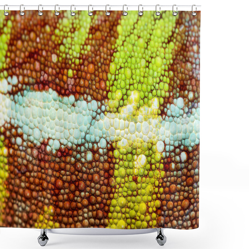 Personality  Panther Chameleon, Furcifer Pardalis, In Close Up Shower Curtains