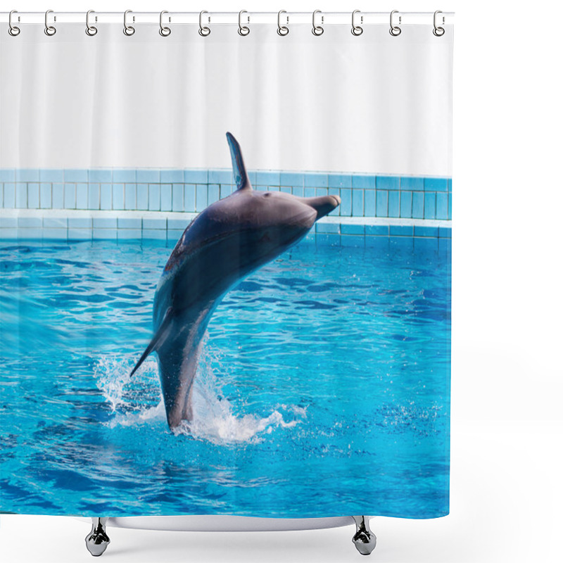 Personality  Dolphin Jumping Shower Curtains