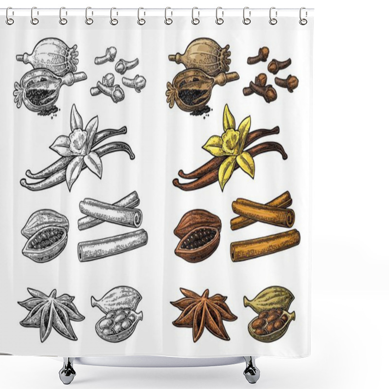 Personality  Set Of Spices. Anise, Cinnamon, Cocoa, Vanilla, Poppy Shower Curtains