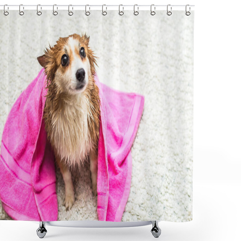 Personality  Dog Sits In A Towel After Washing Wet In A Towel On A White Bed Shower Curtains