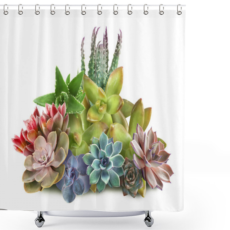 Personality  Collection Of Different Beautiful Succulents On White Background Shower Curtains