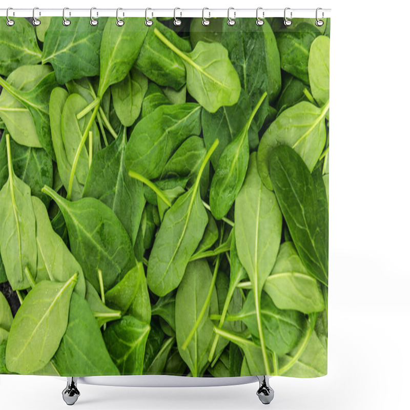 Personality  Portion Of Fresh Spinach As Detailed Close-up Shot (selective Focus) Shower Curtains