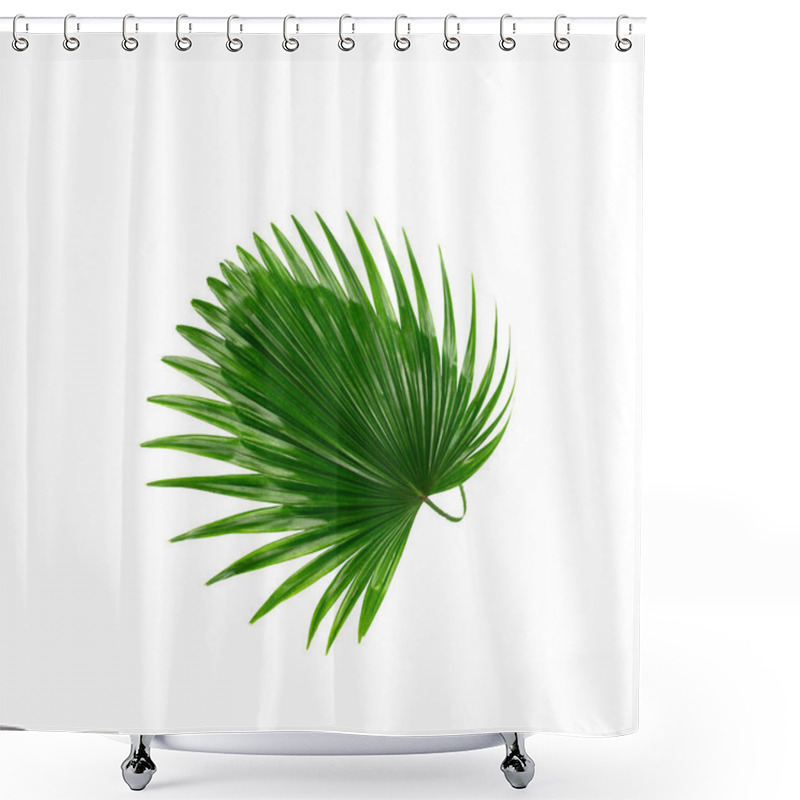 Personality  Green Leaf Of Palm Tree Background Shower Curtains