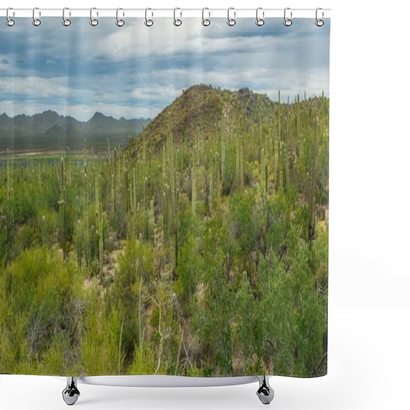 Personality  Scenes From The Sonoran Desert Outside Of Tucson Arizona Including Multiple Types Of Cacti And Desert Wildflowers. Shower Curtains