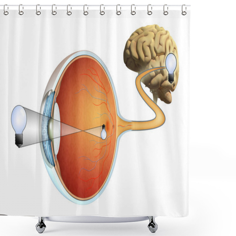 Personality  Vision Shower Curtains