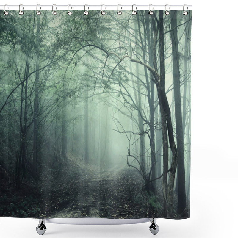 Personality  Green Fog In A Mysterious Forest Shower Curtains