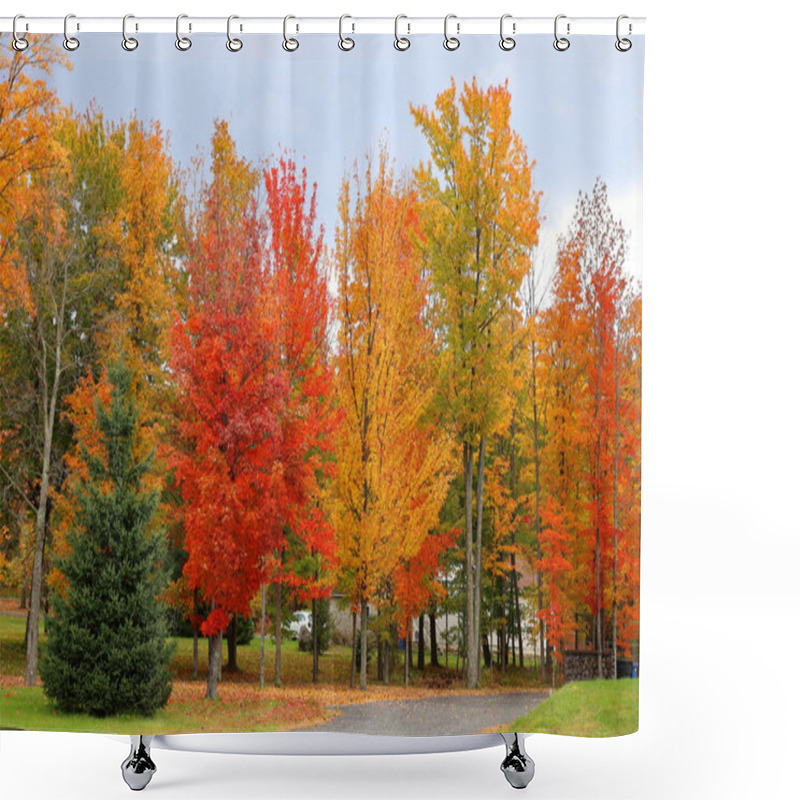 Personality  North American Fall Landscape Path Road In Eastern Township Quebec Province Canada Shower Curtains