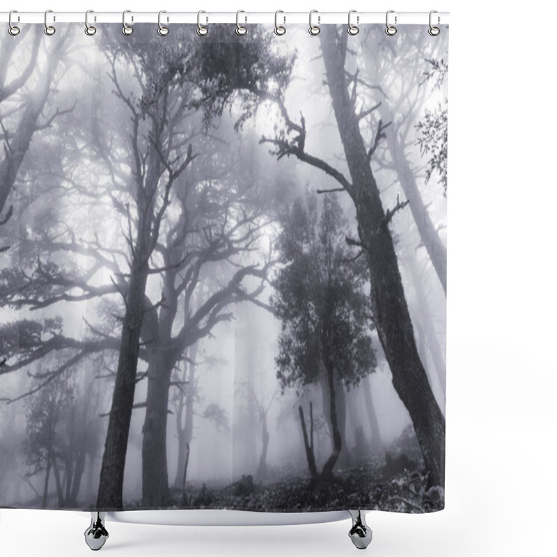 Personality  Magic Misty Forest Shower Curtains