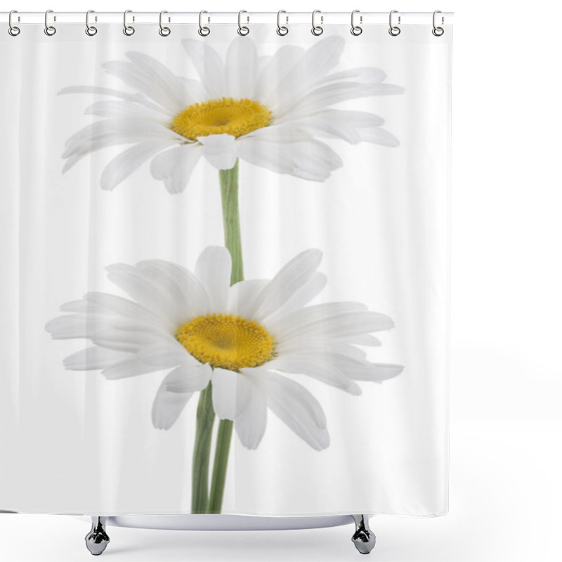 Personality  Daisy Flowers Shower Curtains