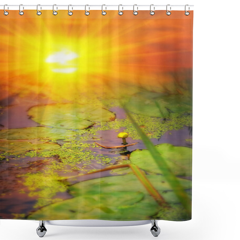 Personality  Yellow Pond-lily (Nuphar Lutea) On Sunset Shower Curtains