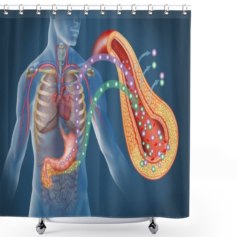 Personality  Diabetes Shower Curtains