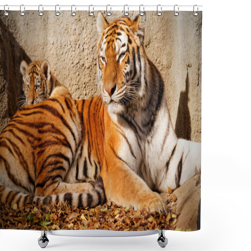 Personality  Tiger Mum In Zoo Shower Curtains