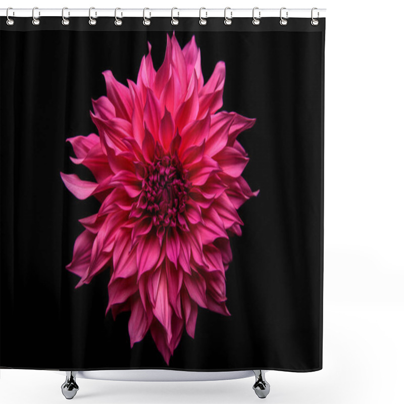 Personality  Studio Portrait Of A Beautiful Single Cafe Au Lait Royal Dinnerplate Dahlia Bloom, Isolated Over Black Background. Isolated Dahlia Flower. Shower Curtains