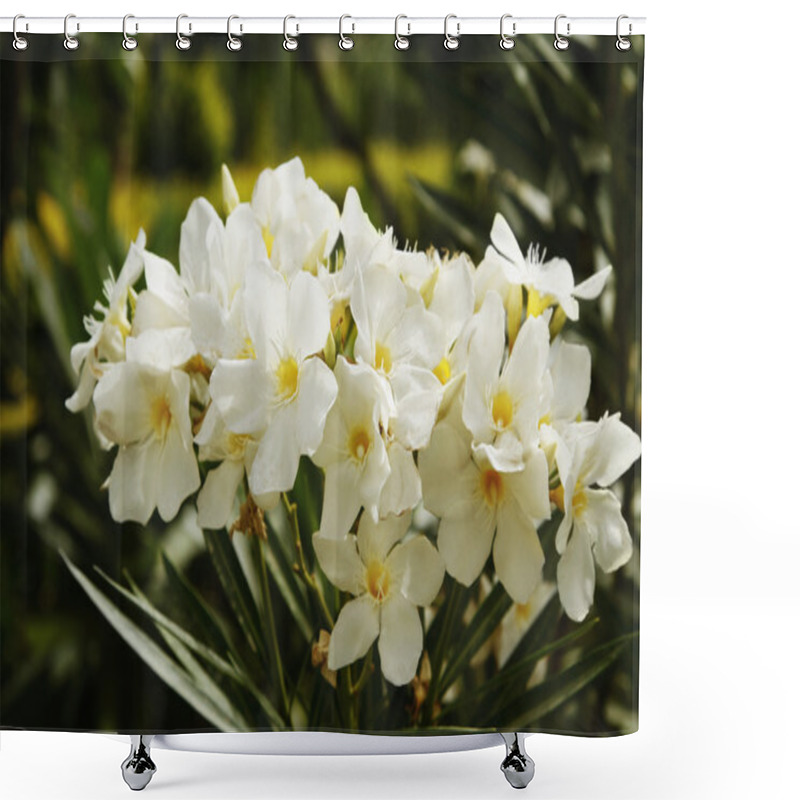 Personality  Flowers Blooming Shower Curtains