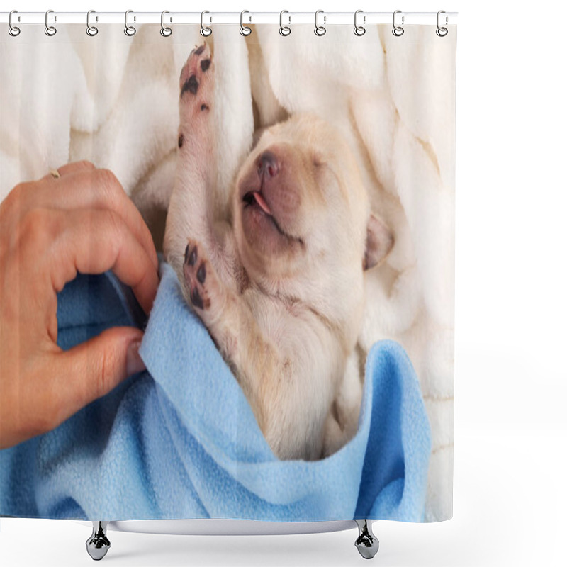 Personality  Newborn Labrador Puppy Dog Sleeping - Woman Hand Adjust Blanket, Closeup Shower Curtains