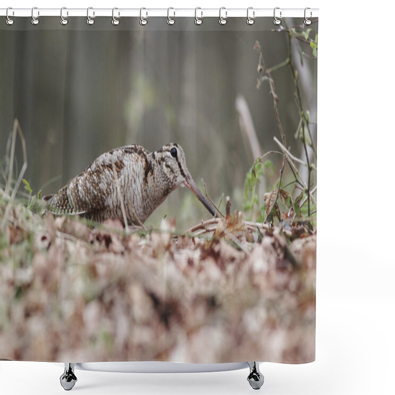 Personality  Woodcock, Scolopax Rusticola Shower Curtains