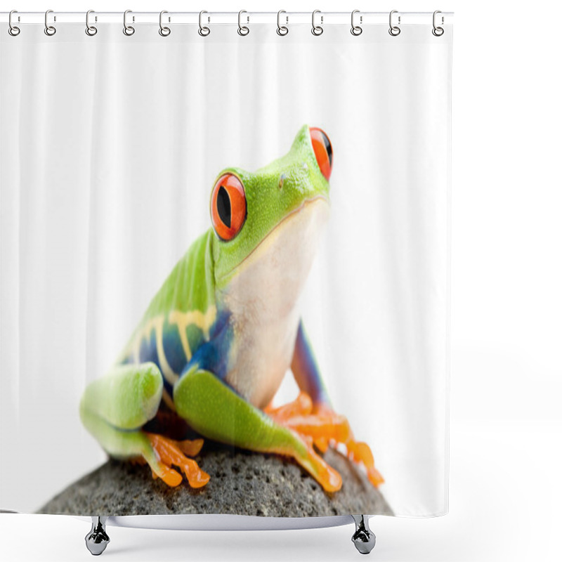 Personality  Frog On A Rock Shower Curtains