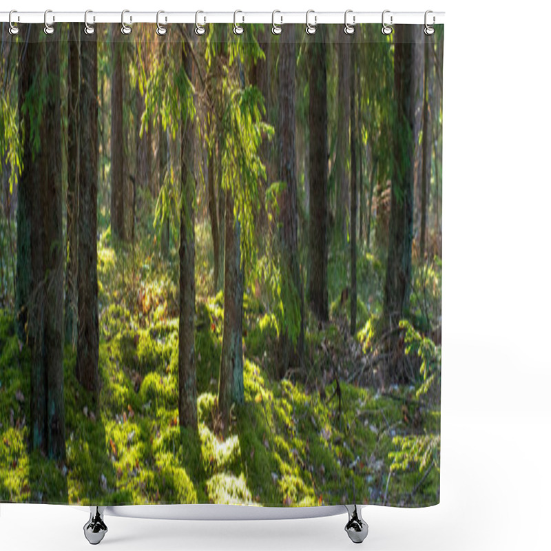 Personality  Forest Nature Background. Summer Green Forest Shower Curtains