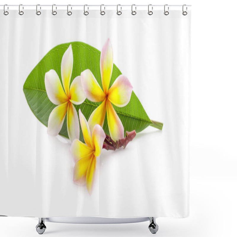 Personality  Frangipani Flower Isolated On White Background Shower Curtains