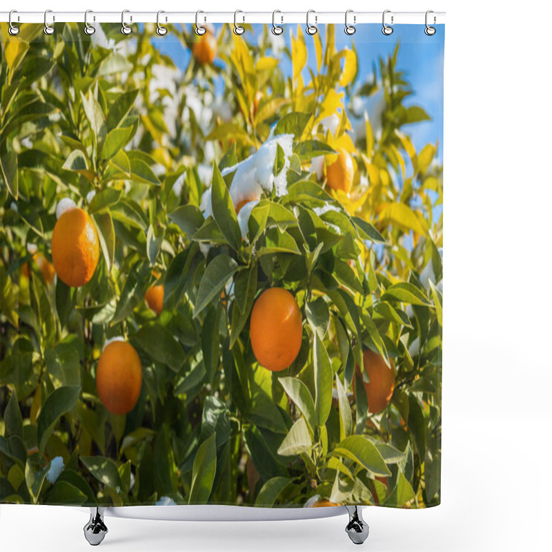 Personality  Oranges In Snow - Snow In Athens - Rare And Unique Event Shower Curtains