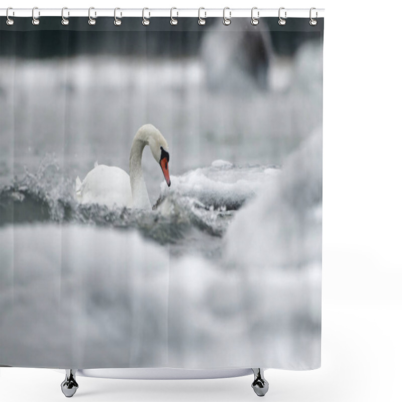 Personality  Mute Swans Swimming In The Ice Cold Water Between Icy And Snow Covered Rocks And Splashing Waves In The Baltic Sea.  Shower Curtains