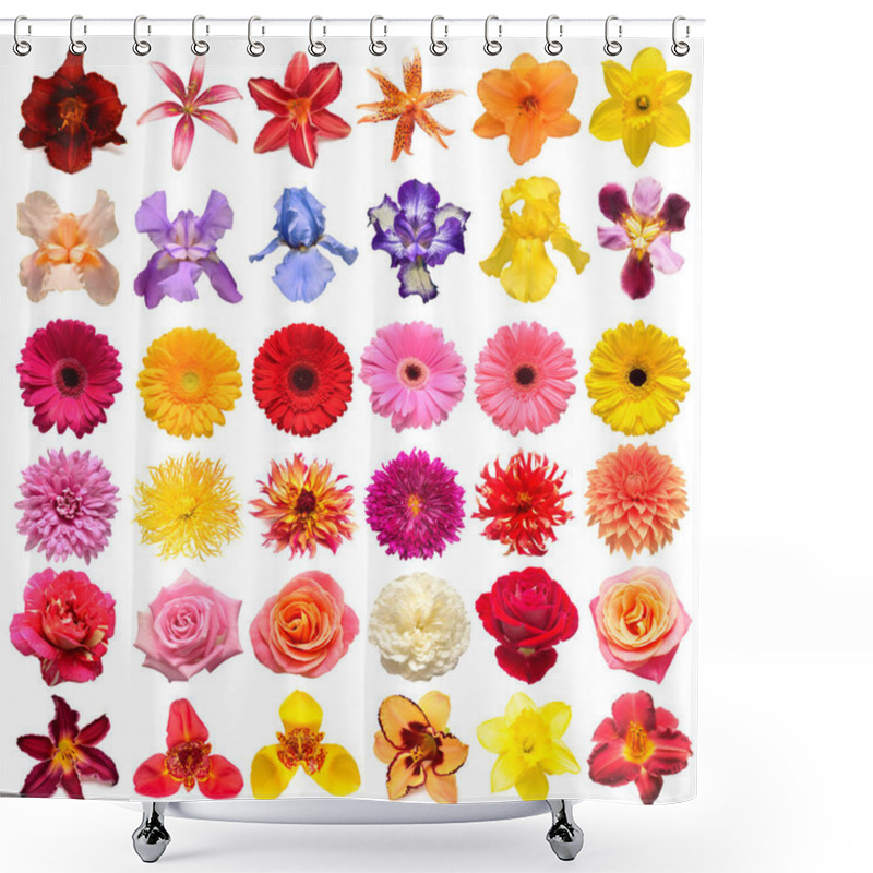 Personality  Collection Flowers Roses, Iris, Lily, Gerbera, Chrysanthemums, Dahlias, Narcissus Isolated On A White Background. Creative Spring Composition, Easter, Valentine's Day. Flat Lay, Top View Shower Curtains