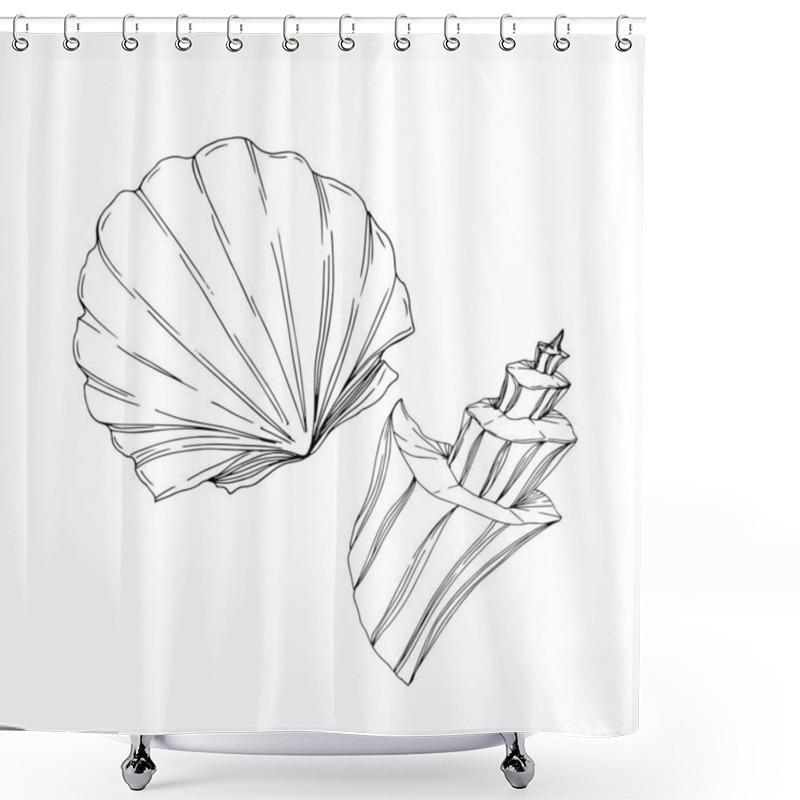 Personality  Vector Summer Beach Seashell Tropical Elements. Black And White Engraved Ink Art. Isolated Shells Illustration Element. Shower Curtains