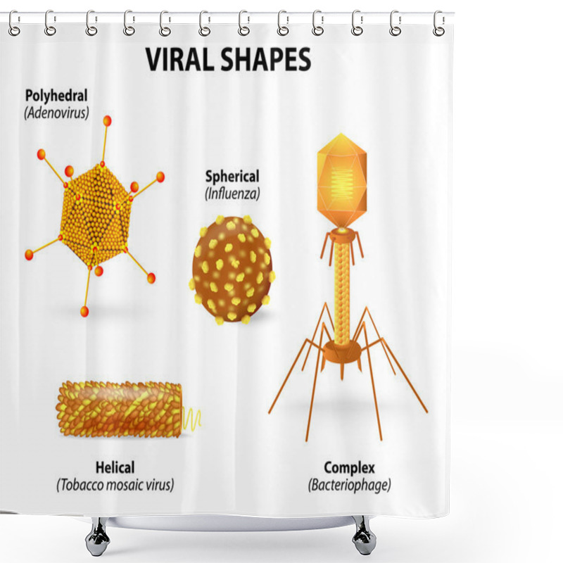 Personality  Shapes Of Viruses Shower Curtains