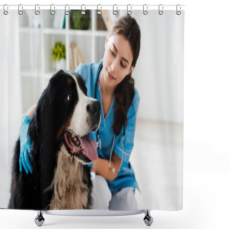 Personality  Pretty, Attentive Veterinarian Examining Bernese Mountain Dog Shower Curtains