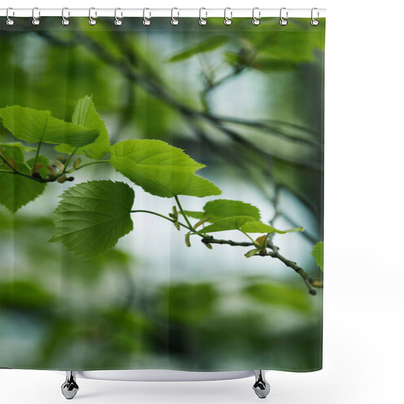 Personality  Close-up Shot Of Green Tilia Leaves On Blurred Natural Background Shower Curtains