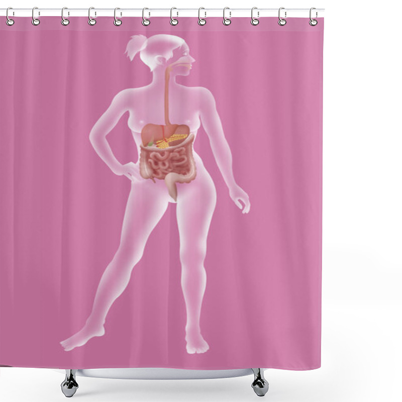 Personality  Digestive System Shower Curtains