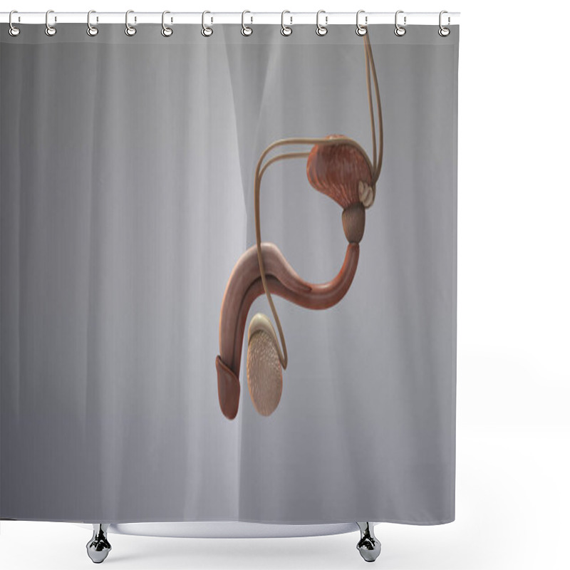 Personality  Medical Animation Of The Male Reproductive System Shower Curtains