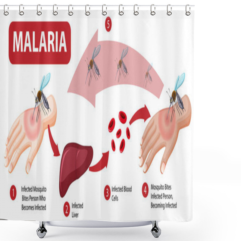 Personality  Malaria Symptom Information Infographic Illustration Shower Curtains