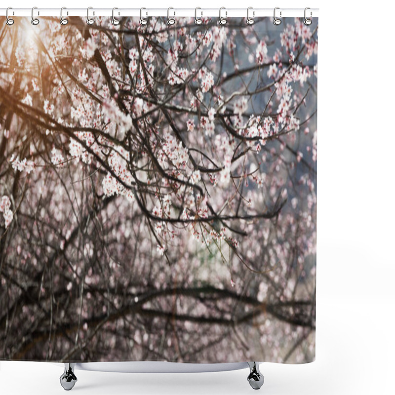 Personality  Spring Peach Forest, Nature Shower Curtains