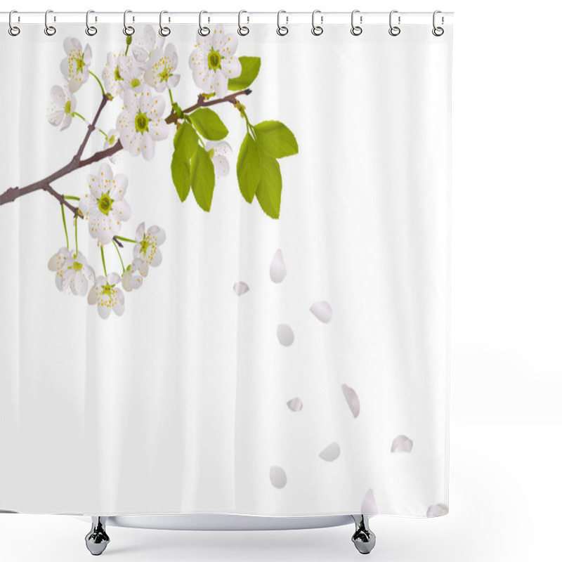 Personality  Cherry Tree Flowers And Falling Petals Shower Curtains