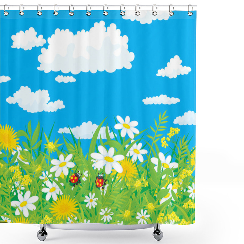 Personality  Ladybugs In A Field With Chamomiles Shower Curtains