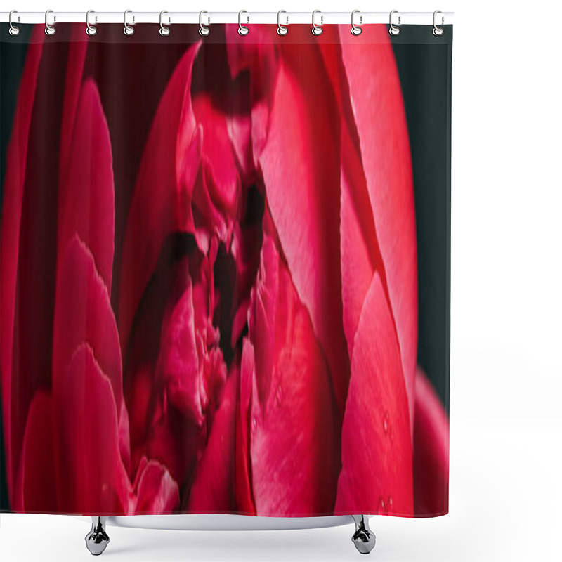 Personality  Close Up View Of Pink Peony Isolated On Black, Panoramic Shot Shower Curtains